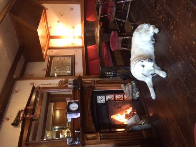 The Bay Horse Hotel ยอร์ค ภายนอก รูปภาพ